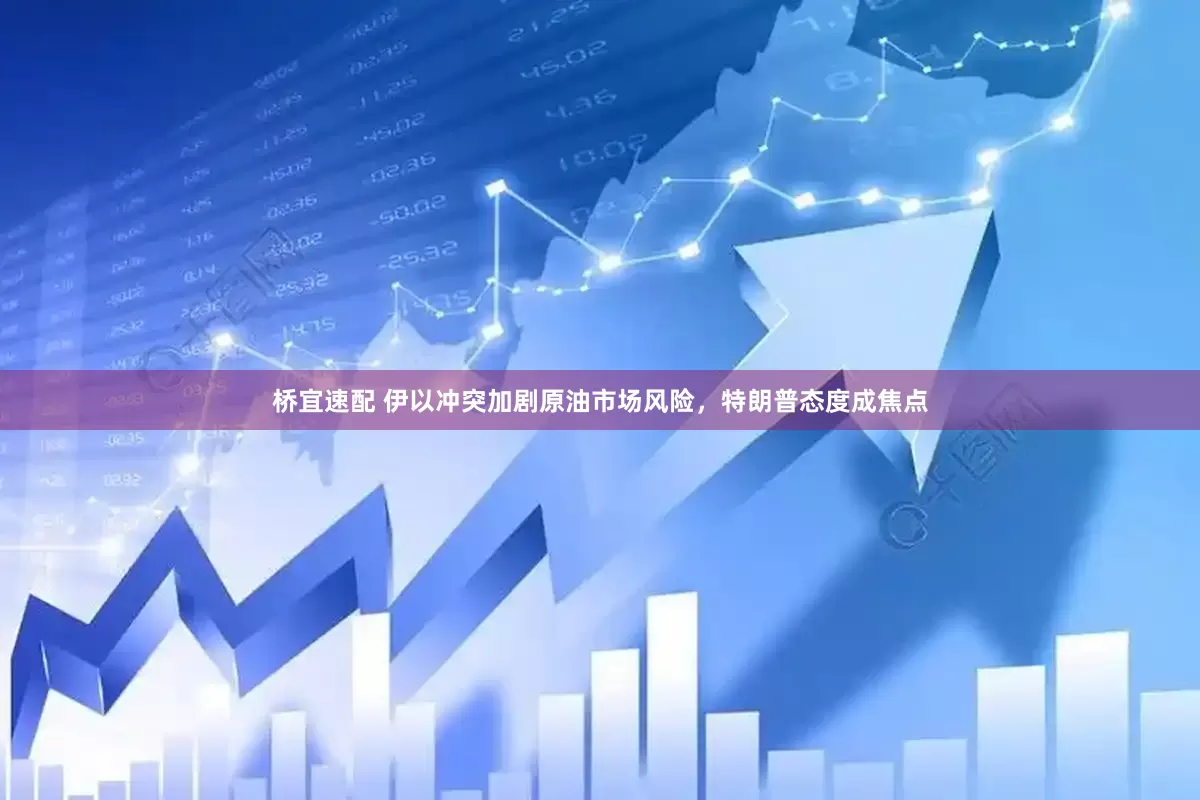桥宜速配 伊以冲突加剧原油市场风险，特朗普态度成焦点